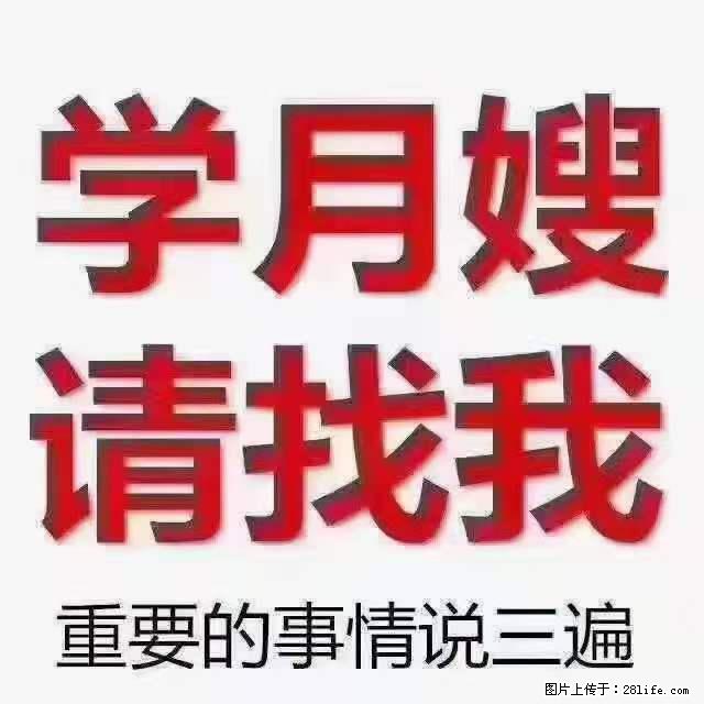 为什么要学习月嫂，育婴师？ - 新手上路 - 昌都生活社区 - 昌都28生活网 changdu.28life.net