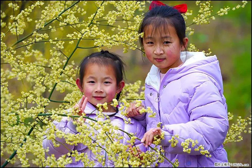【春天，广西桂林灌阳县向您发出邀请！】米珠山前有片山苍子花在飘香 - 游山玩水 - 昌都生活社区 - 昌都28生活网 changdu.28life.net