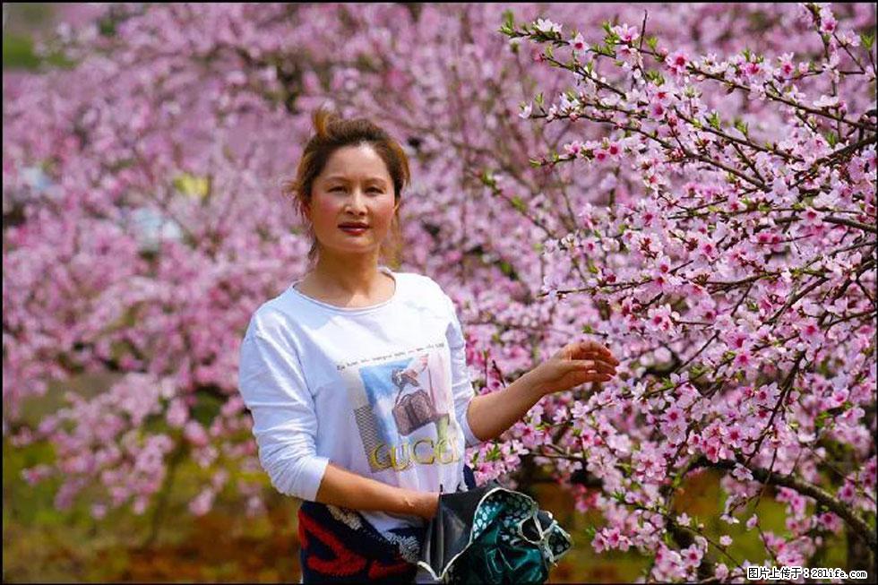 【春天，广西桂林灌阳县向您发出邀请！】官庄村有个醉美的桃花园 - 游山玩水 - 昌都生活社区 - 昌都28生活网 changdu.28life.net