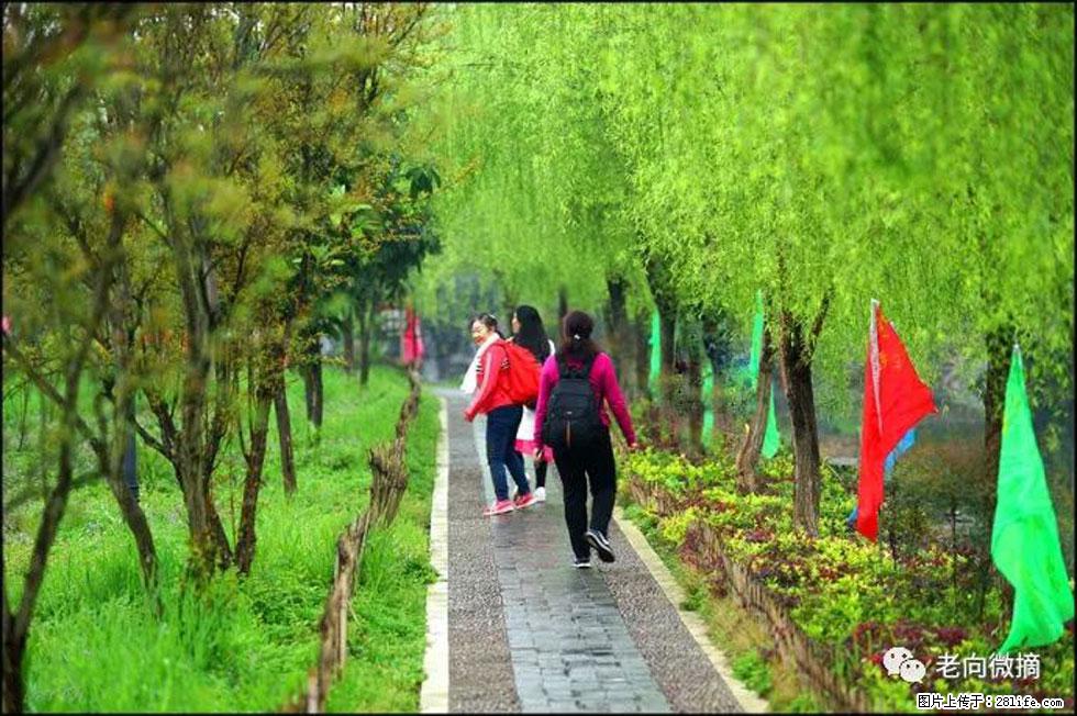 【春天，广西桂林灌阳县向您发出邀请！】江口老街又逢春 - 游山玩水 - 昌都生活社区 - 昌都28生活网 changdu.28life.net
