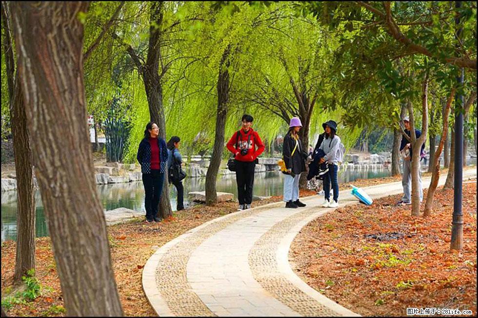 【春天，广西桂林灌阳县向您发出邀请！】江口老街又逢春 - 游山玩水 - 昌都生活社区 - 昌都28生活网 changdu.28life.net