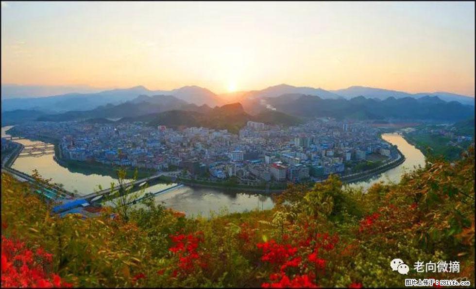 【春天，广西桂林灌阳县向您发出邀请！】登麒麟山，相约映山红 - 游山玩水 - 昌都生活社区 - 昌都28生活网 changdu.28life.net