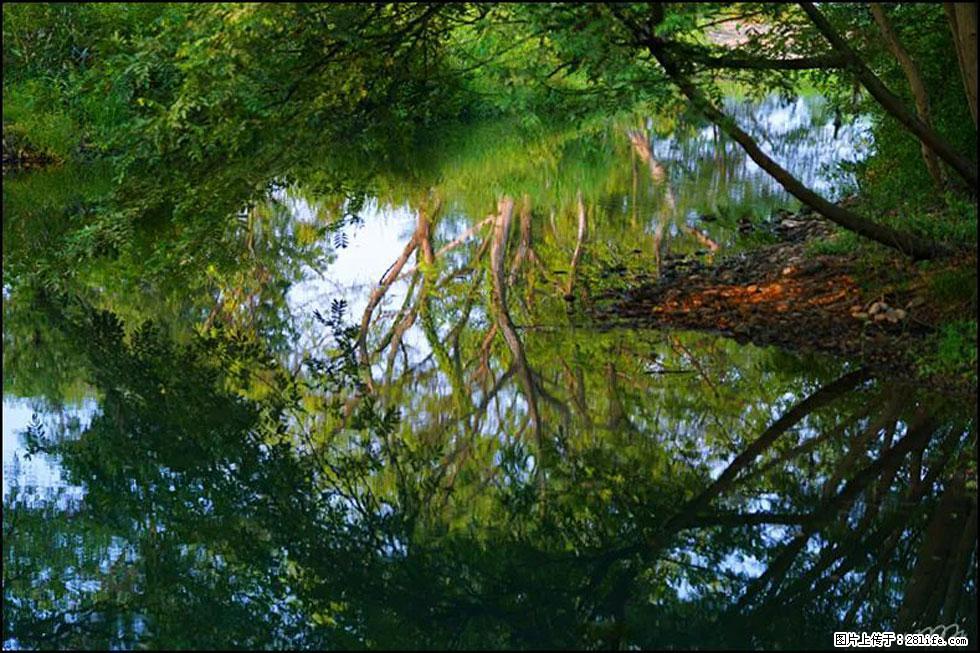 【春天，广西桂林灌阳县向您发出邀请！】熊家寨湿地公园 - 游山玩水 - 昌都生活社区 - 昌都28生活网 changdu.28life.net