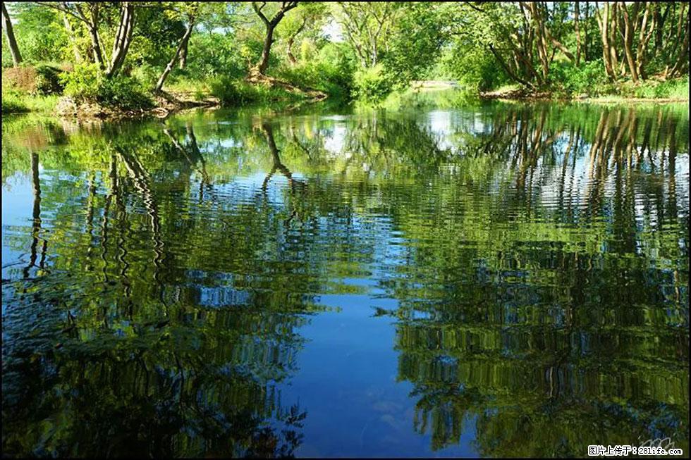 【春天，广西桂林灌阳县向您发出邀请！】熊家寨湿地公园 - 游山玩水 - 昌都生活社区 - 昌都28生活网 changdu.28life.net