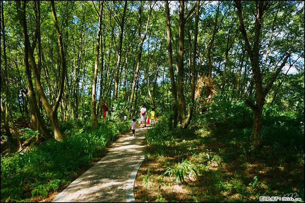 【春天，广西桂林灌阳县向您发出邀请！】熊家寨湿地公园 - 游山玩水 - 昌都生活社区 - 昌都28生活网 changdu.28life.net
