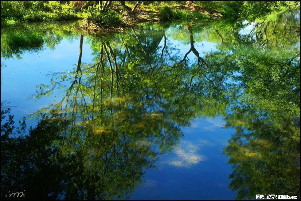 【春天，广西桂林灌阳县向您发出邀请！】熊家寨湿地公园 - 游山玩水 - 昌都生活社区 - 昌都28生活网 changdu.28life.net