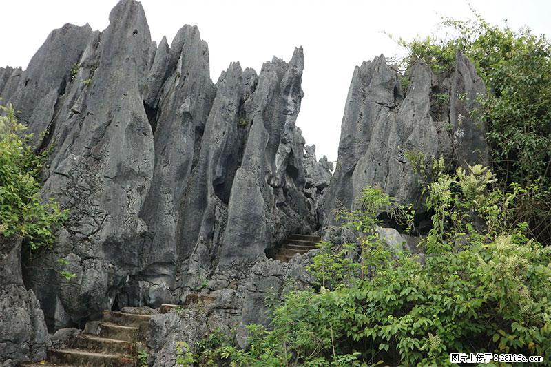 桂林旅游名城景点：灌阳文市石林 - 游山玩水 - 昌都生活社区 - 昌都28生活网 changdu.28life.net