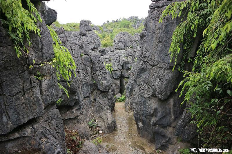 桂林旅游名城景点：灌阳文市石林 - 游山玩水 - 昌都生活社区 - 昌都28生活网 changdu.28life.net