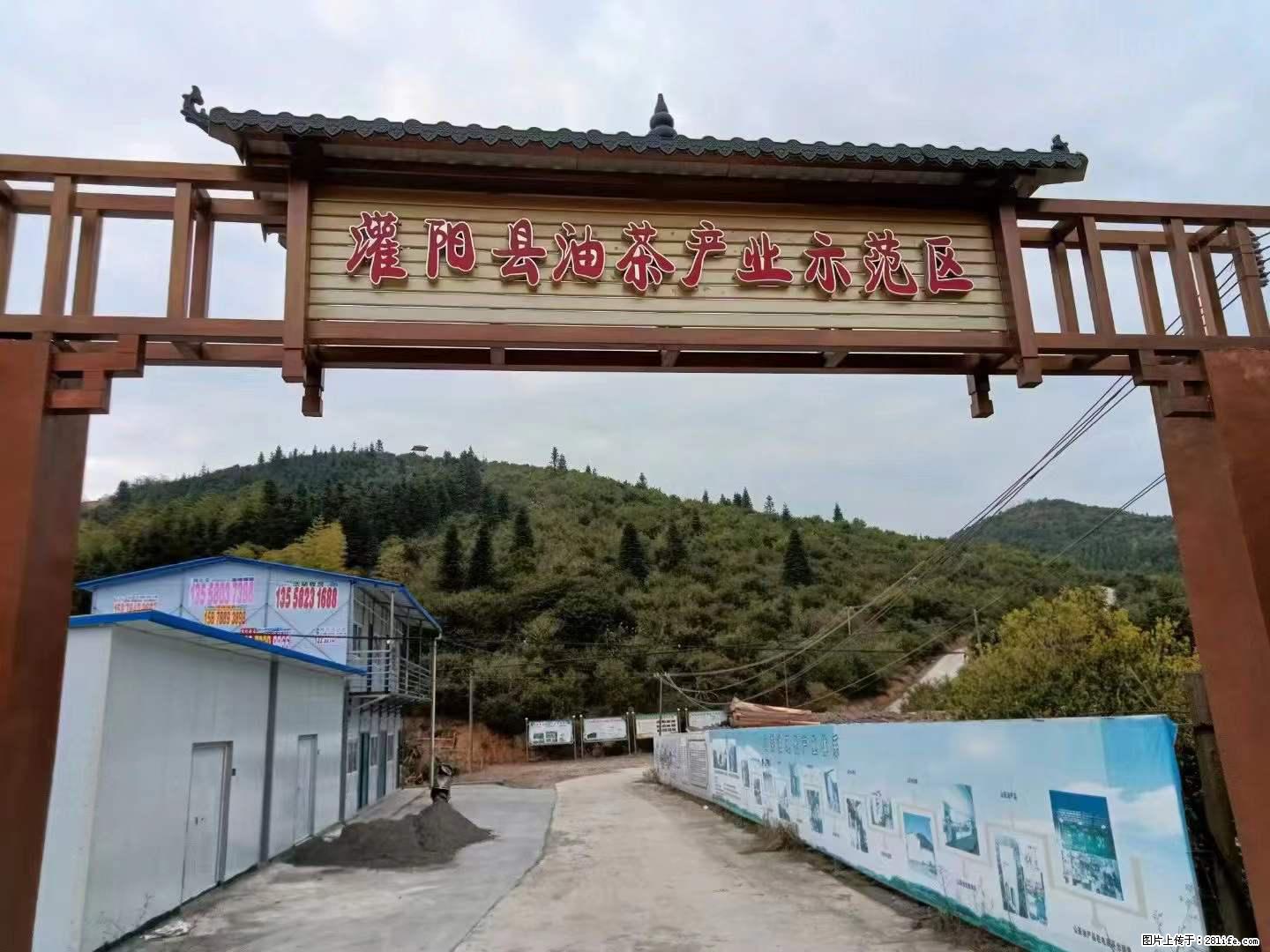 【灌阳县油茶产业示范区】一个有着充实的精神生活的人，对待身外之物自会有一种淡泊的态度 - 美食天地 - 昌都生活社区 - 昌都28生活网 changdu.28life.net