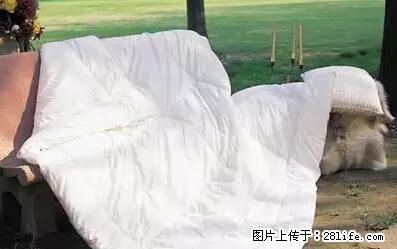 被子有异味？只要这样做，比晒太阳还强100倍！ - 家居生活 - 昌都生活社区 - 昌都28生活网 changdu.28life.net