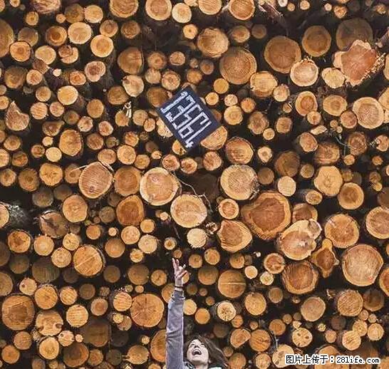 辞掉工作周游世界？现在他们在洗厕所…… - 游山玩水 - 昌都生活社区 - 昌都28生活网 changdu.28life.net