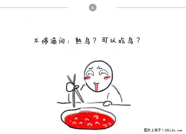 千万不要和这9种哈卵一起吃火锅！ - 美食天地 - 昌都生活社区 - 昌都28生活网 changdu.28life.net
