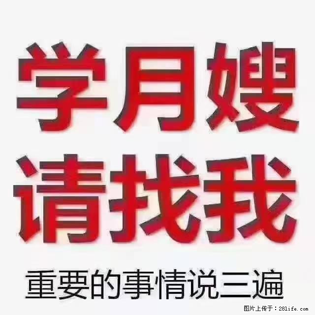 【招聘】月嫂，上海徐汇区 - 职场交流 - 昌都生活社区 - 昌都28生活网 changdu.28life.net