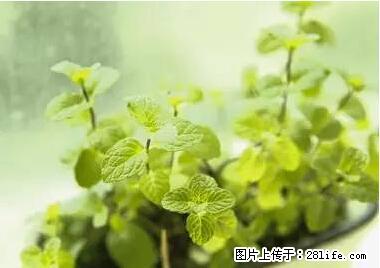 晕车、脚气、牙齿变黄、皮肤粗糙？学会这些三分钟搞定！ - 昌都生活资讯 - 昌都28生活网 changdu.28life.net