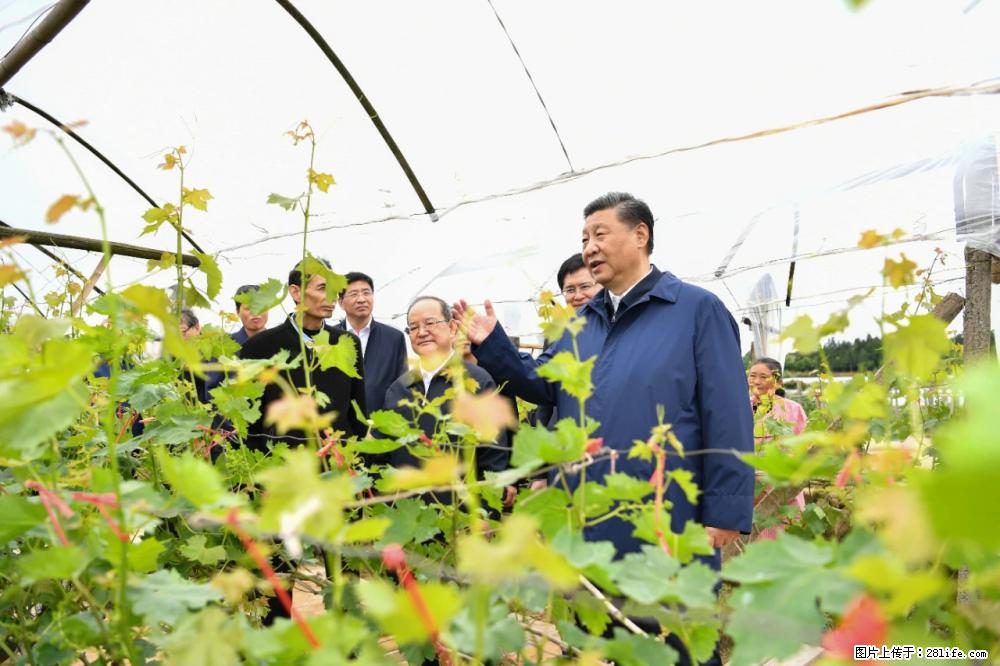 习近平赴广西考察调研 - 昌都生活资讯 - 昌都28生活网 changdu.28life.net