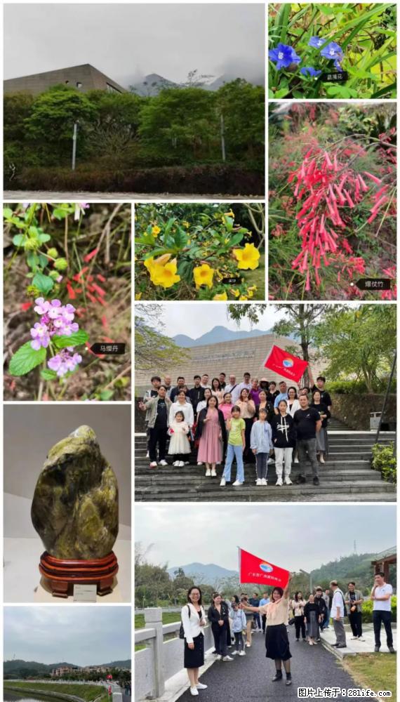 “粤灌文化 美好生活”油茶文化主题活动在广东深圳成功举办 - 昌都生活资讯 - 昌都28生活网 changdu.28life.net