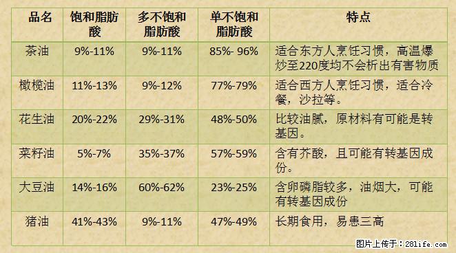 揭秘茶油的5大核心营养成分！被称为人体健康的“守护盾”！ - 昌都生活资讯 - 昌都28生活网 changdu.28life.net