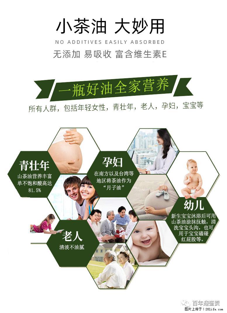 世界没有真相，只有认知，最好的食用油是中国的山茶油！ - 昌都生活资讯 - 昌都28生活网 changdu.28life.net
