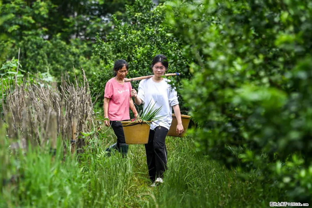 全网追的“扁担女孩”，找了一份暑假工，时薪12元 - 昌都生活资讯 - 昌都28生活网 changdu.28life.net