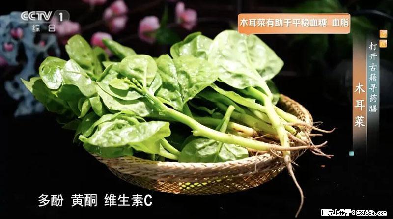 比牛奶补钙还厉害！凉血解毒、稳血糖...这菜冬天必吃，很多人却当草 - 昌都生活资讯 - 昌都28生活网 changdu.28life.net