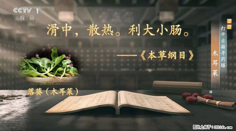 比牛奶补钙还厉害！凉血解毒、稳血糖...这菜冬天必吃，很多人却当草 - 昌都生活资讯 - 昌都28生活网 changdu.28life.net