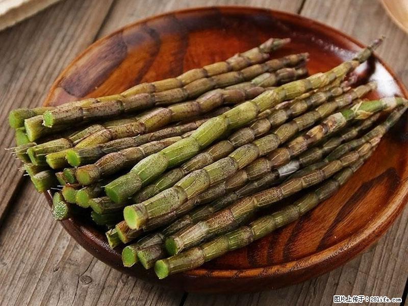 铁皮石斛的作用与功能主治 - 昌都生活资讯 - 昌都28生活网 changdu.28life.net